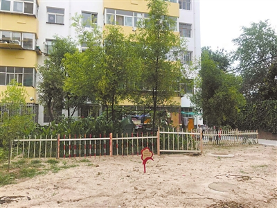 9號樓前小區(qū)綠地空置，被居民圍起柵欄圈占種菜。 本報記者    張艷麗    攝