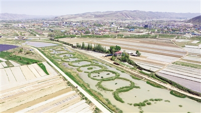 <p>　　葫蘆河兩岸良田千頃，一幅山清水秀的田園畫卷。</p>
