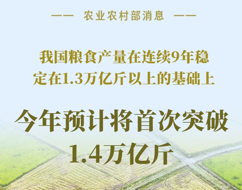 預計將首次突破1.4萬億斤！數(shù)據(jù)看“大國糧倉”的底氣