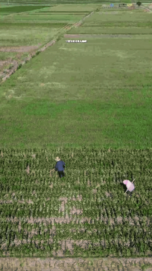 6月13日(2).gif