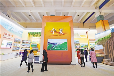 寧夏展區(qū)借助實(shí)物、模型、圖片、裸眼3D技術(shù)等，展示了黨的十八大以來寧夏所取得的不凡成就。