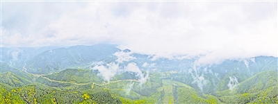     清晨，薄霧籠罩六盤山。