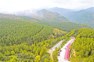     位于六盤山國家森林公園內(nèi)的王化南護(hù)林點。