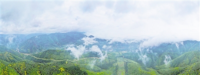     六盤(pán)山國(guó)家森林公園森林覆蓋率達(dá)80%以上，是西北重要的水源涵養(yǎng)林基地。
