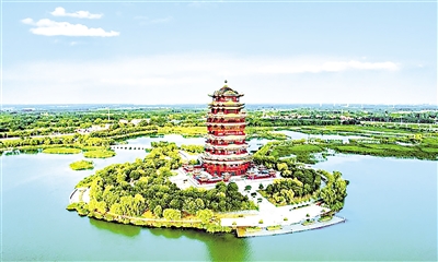 山東省濱州市濱城區(qū)蒲湖公園。大眾日報記者 程芃芃 攝